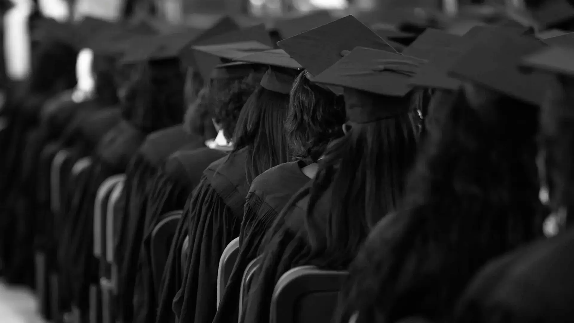 Granted scholarship platform — project cover