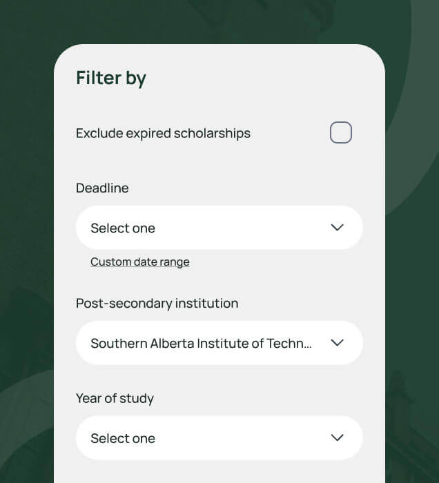 Granted scholarship platform — project detail