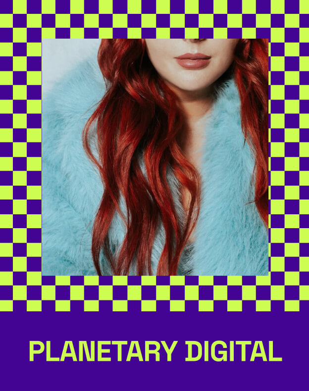 Planetary Digital — project detail