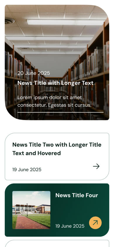 Rally K12 Luna district theme — mobile website design